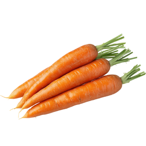 Carrot / ગાજર