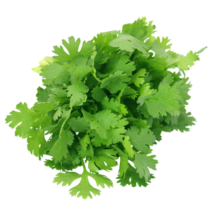 Coriander / ધાણા