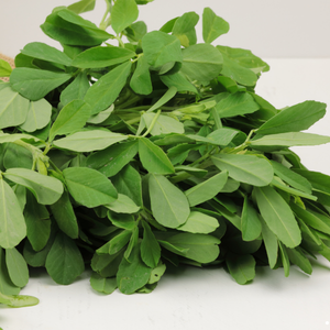 Fenugreek Leaves / મેથી ની ભાજી
