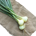Green Onions / લીલા કાંદા