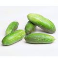 Ivy Gourd / ટીંડોરા
