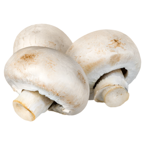 Mashroom / મશરૂમ
