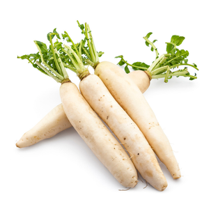 Radish / મૂળા