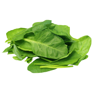 Spinach Leaves / પાલક ની ભાજી