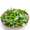 Tandalja Leaves / તાંજલીયા ભાજી